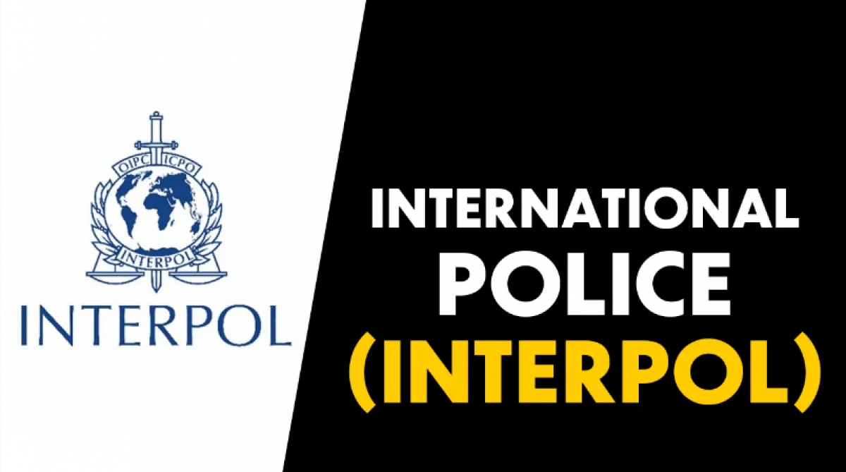 International Day of Police Cooperation